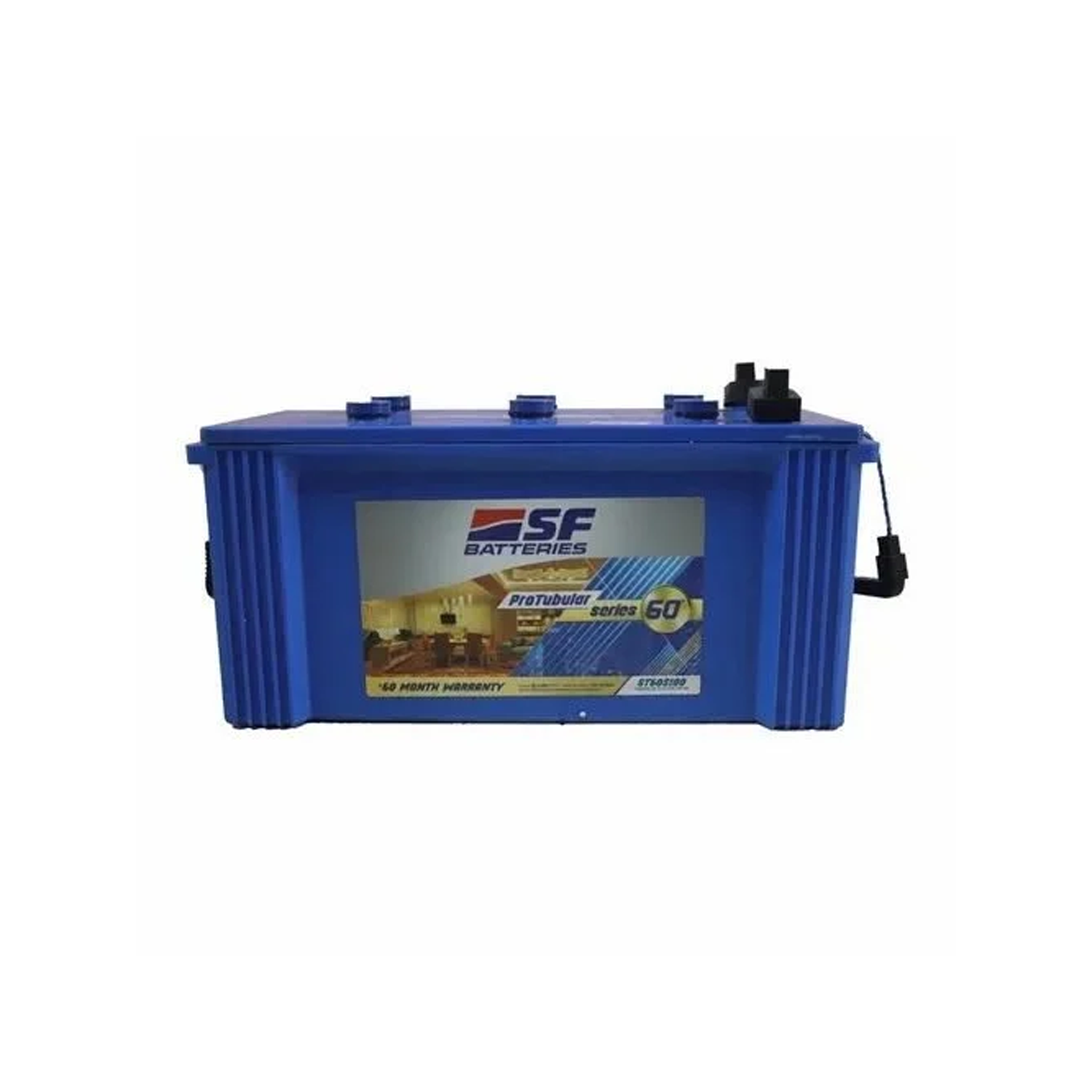 SF 100 Ah Tubular Battery- ST60S100